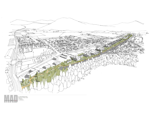 Aerial view of town green space plan.